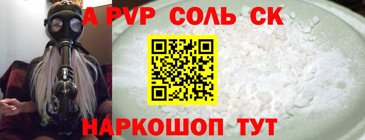 A PVP СК КРИС Сунжа
