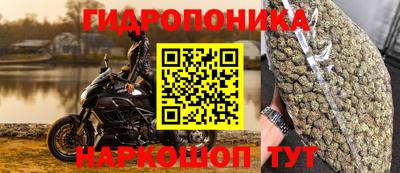 соль ск Обь