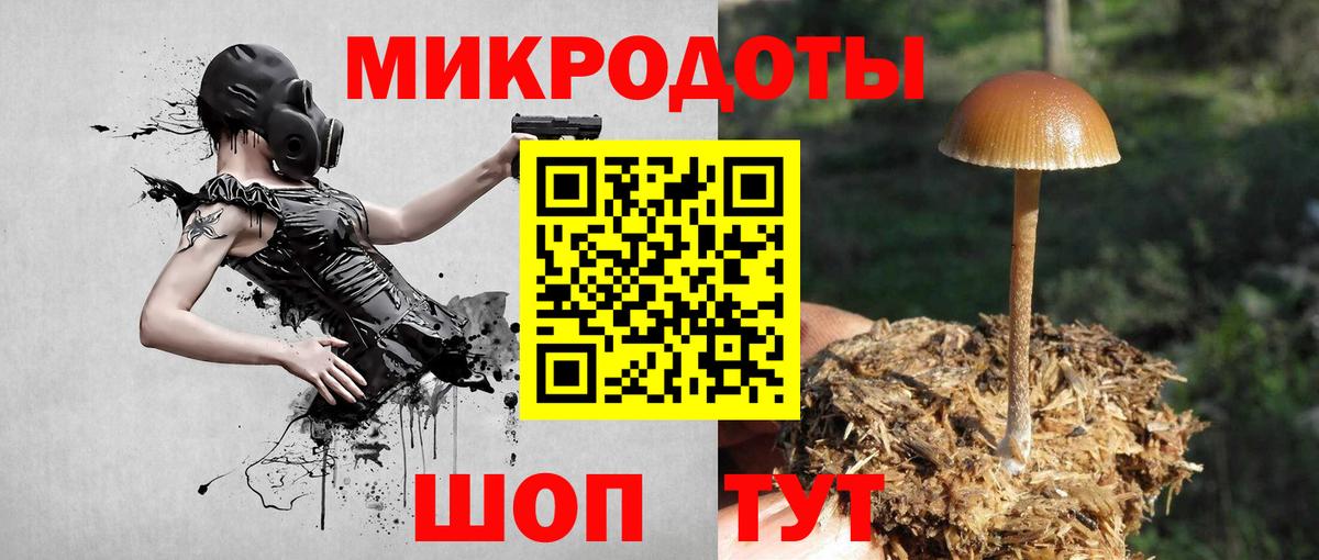 Галлюциногенные грибы Magic Shrooms  Вход с VPN  Сунжа 
